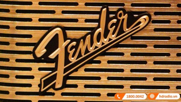 Loa Fender Newport 2, Pin 12h, 30W, Bluetooth, AUX-8