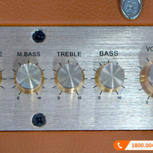 Loa Sumico MSP10 Bass 25,4 cm, Công suất 100W-10