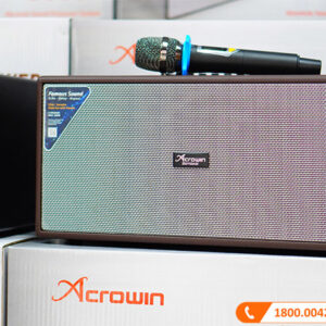 Loa Acrowin SA300, 300W, Pin 8h, Bluetooth, Đi Kèm 2 Micro-1