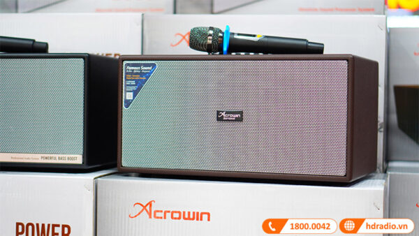 Loa Acrowin SA300, 300W, Pin 8h, Bluetooth, Đi Kèm 2 Micro-1
