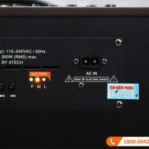 Loa Acrowin SA300, 300W, Pin 8h, Bluetooth, Đi Kèm 2 Micro-17