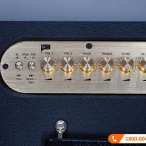 Loa Acnos CS450SR, Bass 16.5 cm, 150W-17