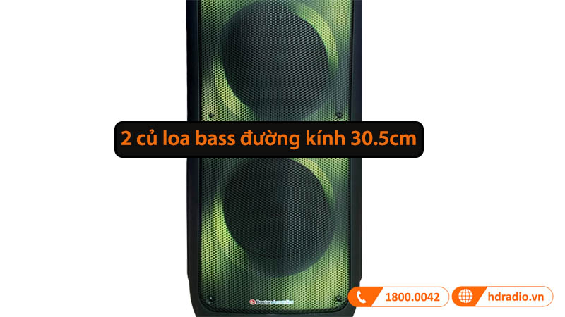 2 Loa bass đường kính 30.5cm