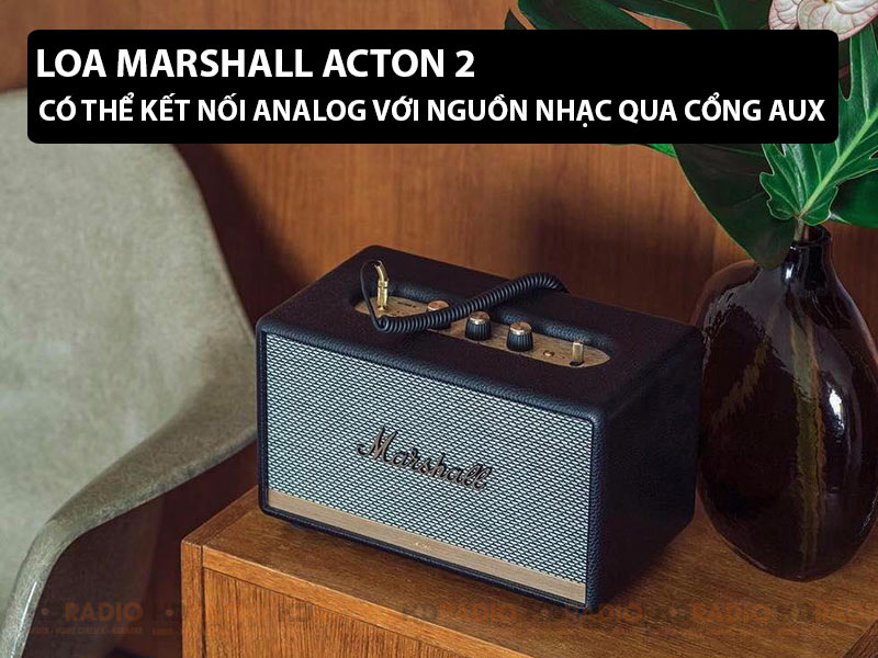 loa marshall acton 2 co the ket noi analog voi nguon nhac